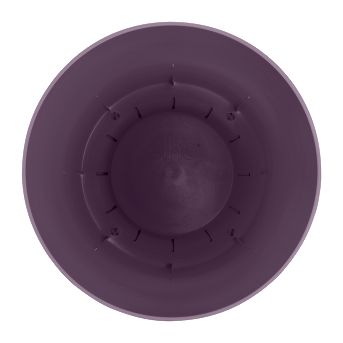 greenville coupe 33cm vintage prune